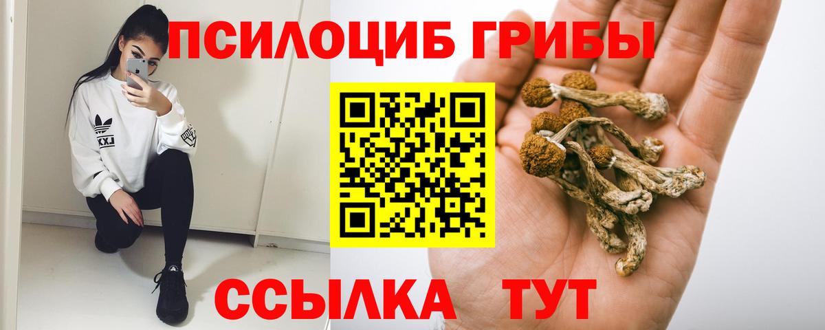 Галлюциногенные грибы GOLDEN TEACHER  Вход с VPN  наркота  Новозыбков 